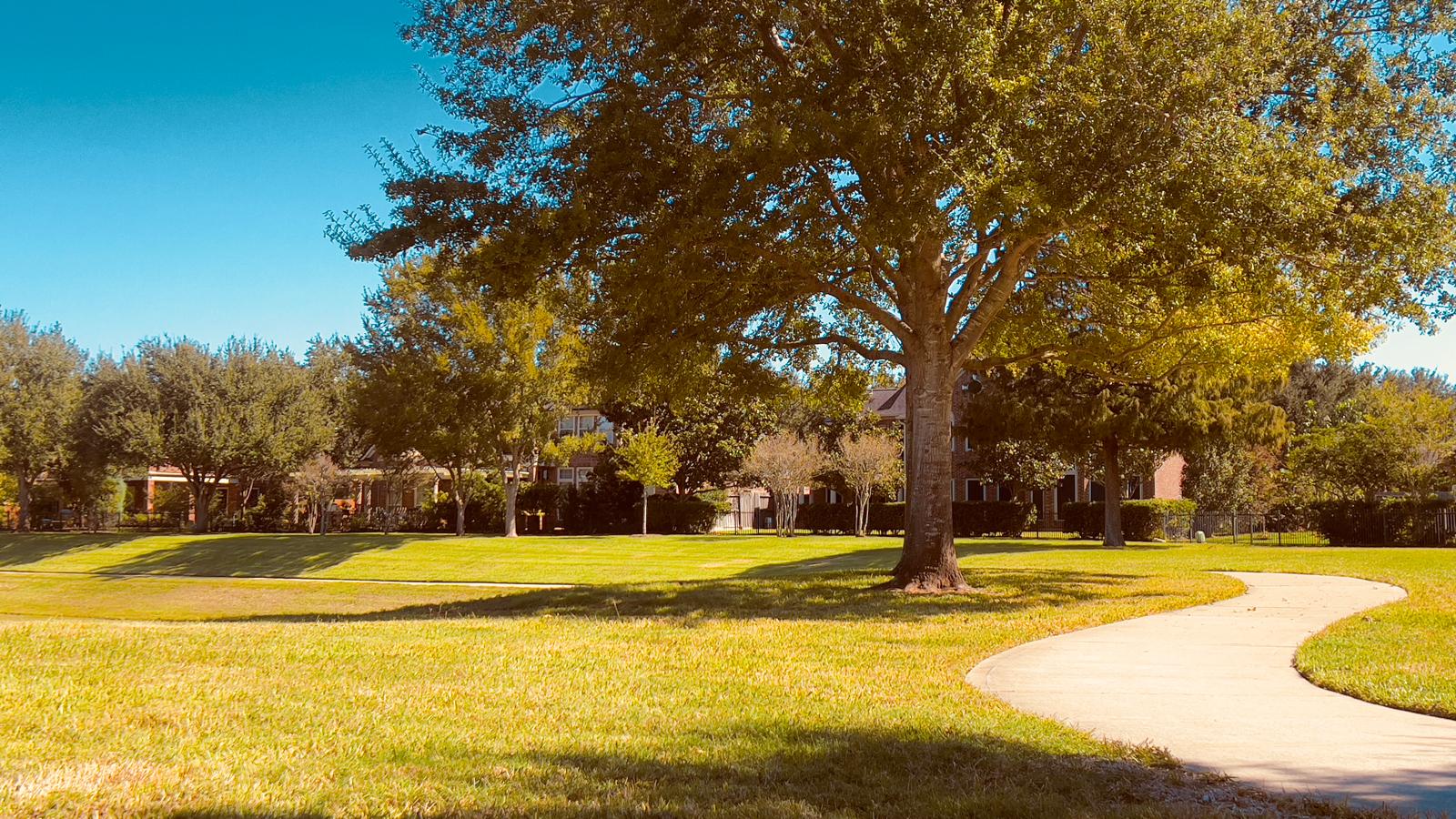 The Real Richmond TX tree lined trail